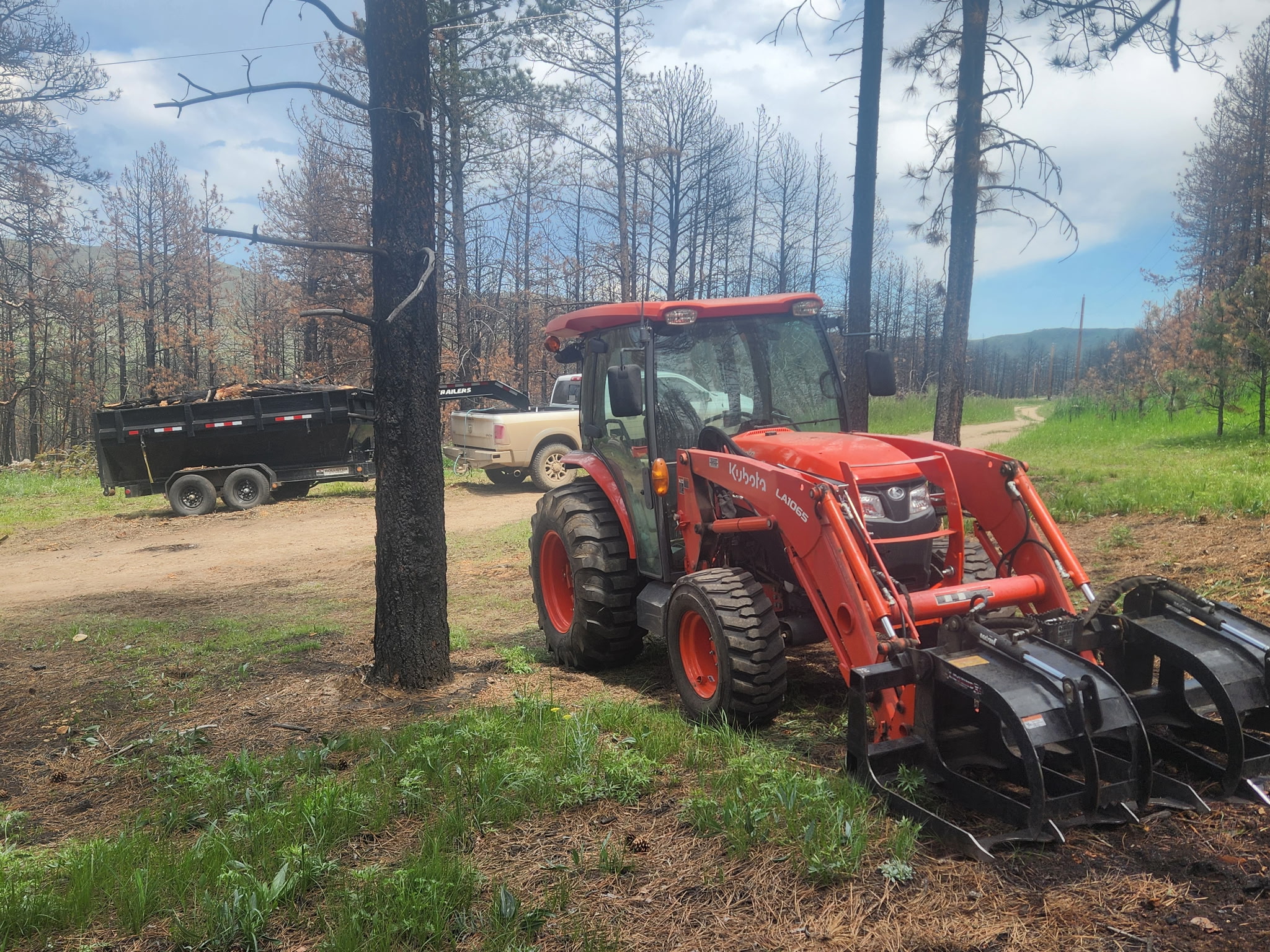 Tractor with grapple and dump trailer clearing trees and debris on a Colorado mountain property