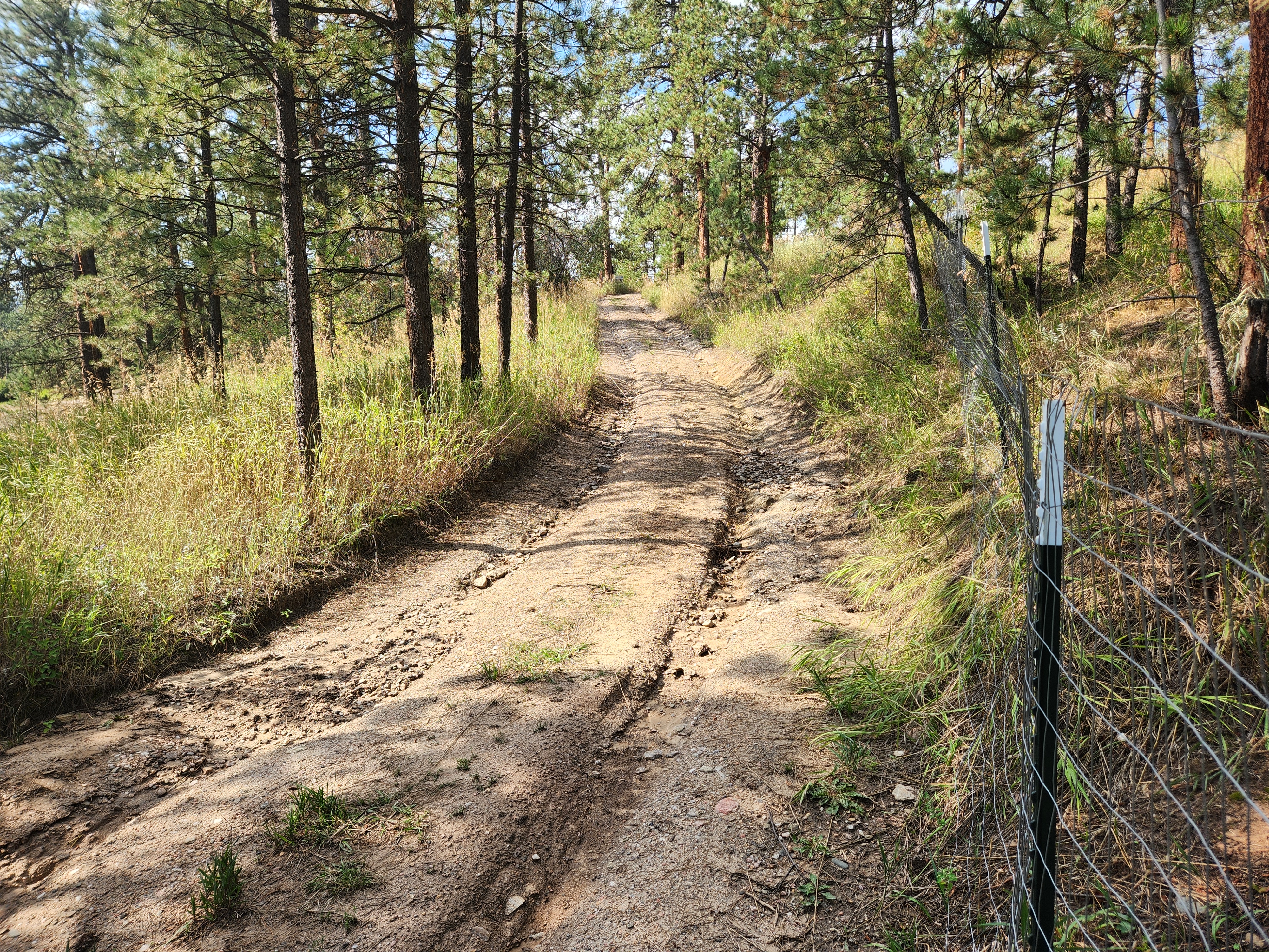 Washout damage — deep ruts and erosion channels on dirt road