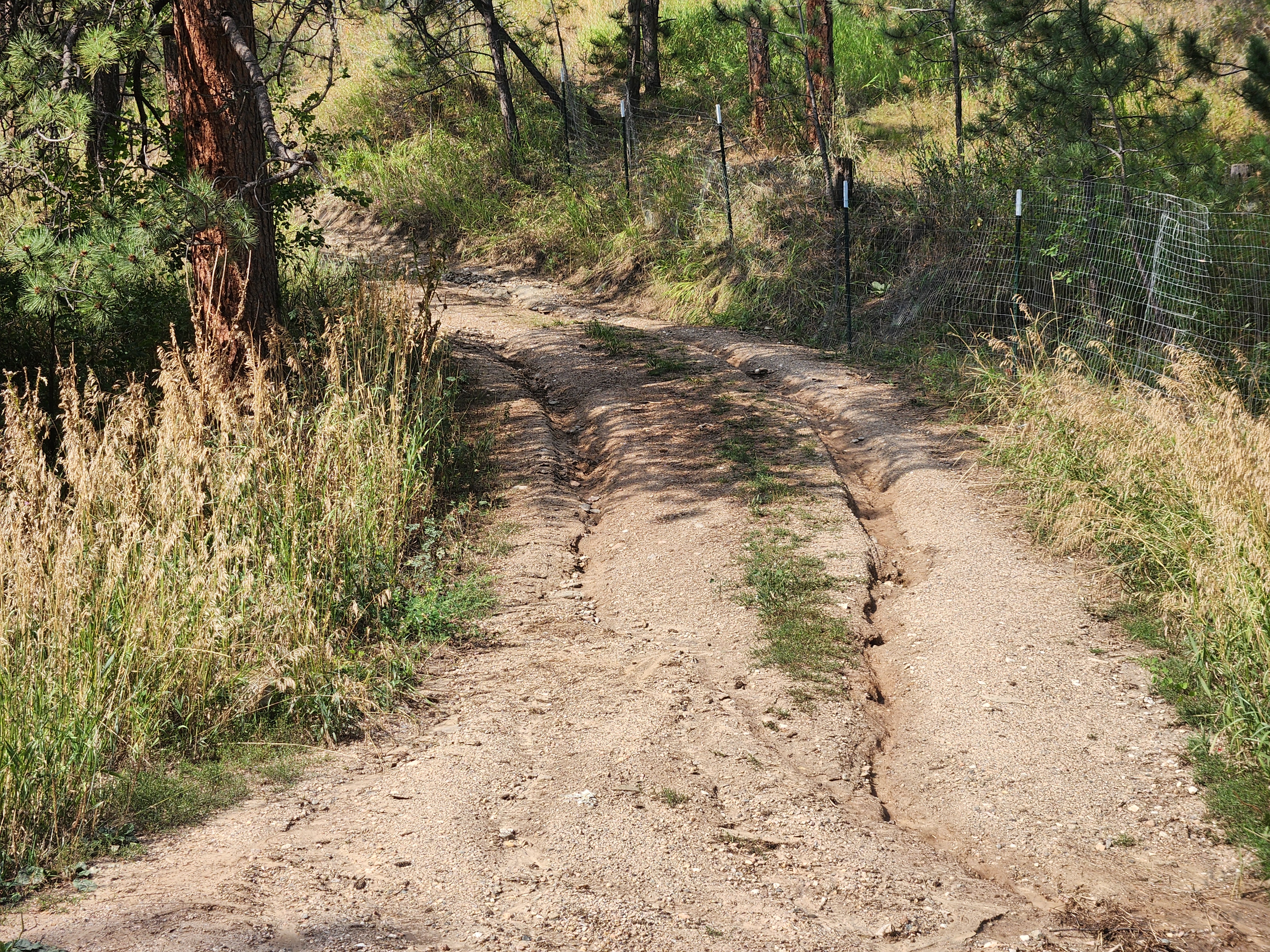 Washout erosion damage — deep channels cutting through dirt road